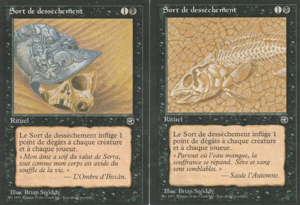Carte MAGIC Terres Natales Sort de Desséchement VF