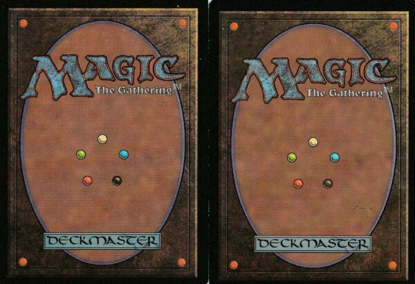 Carte MAGIC Terres Natales Sort de Desséchement VF – Image 2