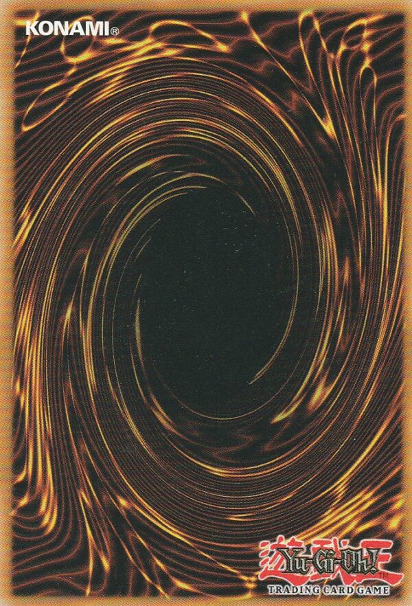 Carte Yu-Gi-Oh ! - Nexus du Duelliste (DUNE) - Chevalier Epéiste du Miroir - FR006 - 1ère Edition – Image 2