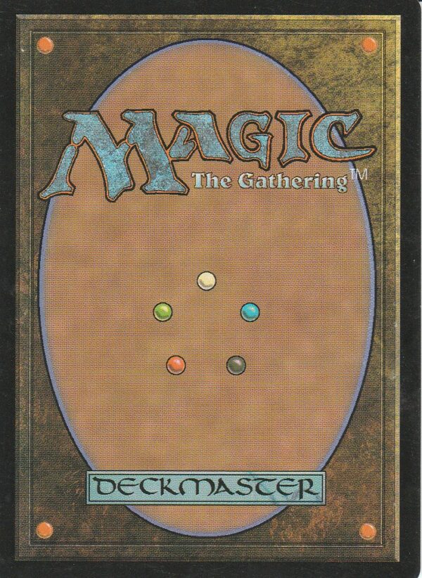 Carte MAGIC Jugement 138/143 Terrains de chasse VF – Image 2