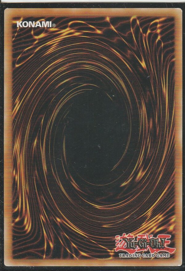Carte Yu-Gi-Oh ! - Le Soulèvement de la Fureur (RIRA) - FR016 - Esprit TENYI – VISHUDA - 1ère Edition – Image 2